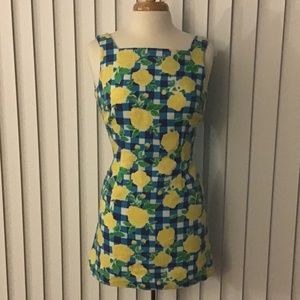 Final price!Lilly Pulitzer Gingham Rose Tank Dress